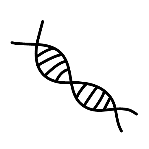 Icon DNA